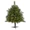 3ft. Pre-Lit Wyoming Mixed Pine Artificial Christmas Tree, Clear LED Lights